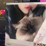 小7