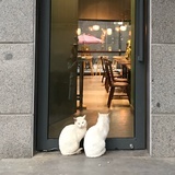招娣之谜