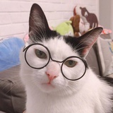 学术垃圾生产商