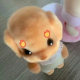 专业给饼干打孔