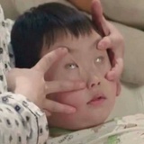 猪小葵