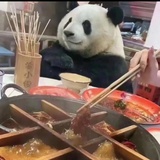 阿里嘎多懒洋洋