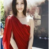 中国投资协会刘