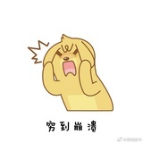 一只猫