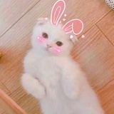 小白兔杀人如麻🐰