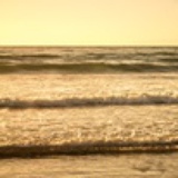 Teak