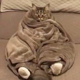 再等等吧再等等