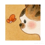 阿芙乐尔