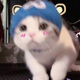 西瓜丸子