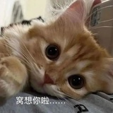 阿信