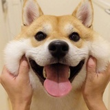吴吴吴111