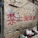 投桃报李小姐