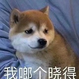 一袋米呦扛几楼