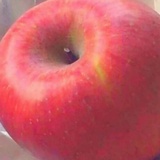 E.