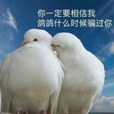 阿什么龟