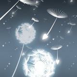 且听风吟