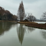 嗯