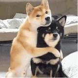 呢醒醒