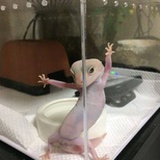 然然