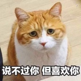 小鱼🐠