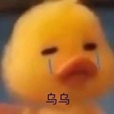 我想我是毕少侠