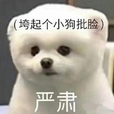 sjnsbzgh