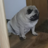 豆友ABCDEFG