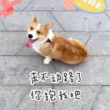 樱桃小粽子