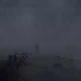 这是估璐大飘
