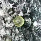Lemon Tree