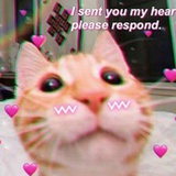 00000000000