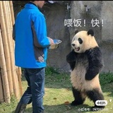支棱着的咸鱼