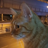 换个心情