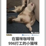 睡觉大过天