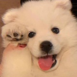 钢厂小霸王