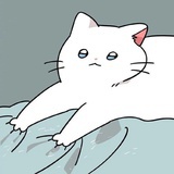 猫和咪呀