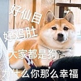fxxkoff
