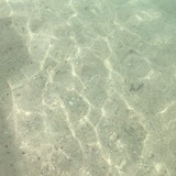 凝神静气