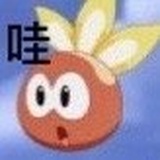 🌰🐿🇨🇳