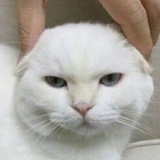 亲她亲她