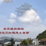 无根木