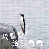 达克舅舅