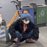 安琪拉屎