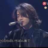 大琴师