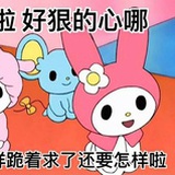 我爱蛙蛙