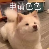 吃瓜看戏