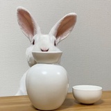 不能吃豆芽