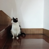 清舟的粥