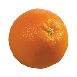 橘子🍊