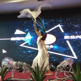 李薇儿